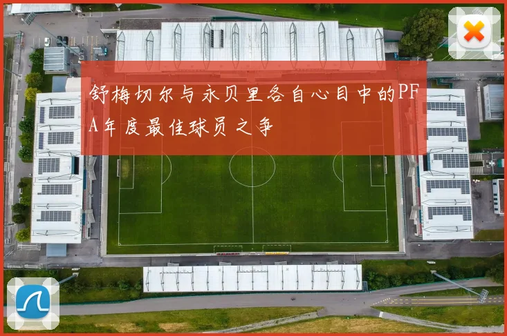 舒梅切尔与永贝里各自心目中的PFA年度最佳球员之争