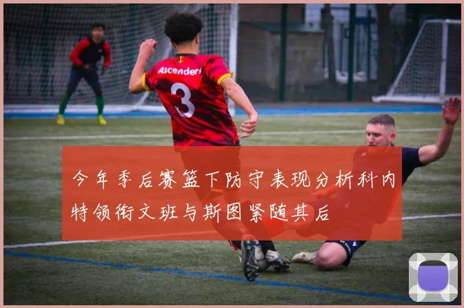 今年季后赛篮下防守表现分析科内特领衔文班与斯图紧随其后