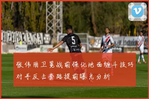 张伟丽卫冕战前强化地面缠斗技巧对手反击套路提前曝光分析